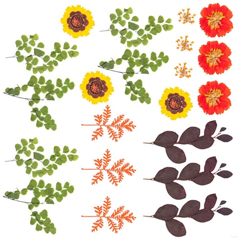 수지 금형 스크랩북 쥬얼리 비누 캔들 만들기용 말린 압 - Art Craft Leaves 리뷰 및 가격