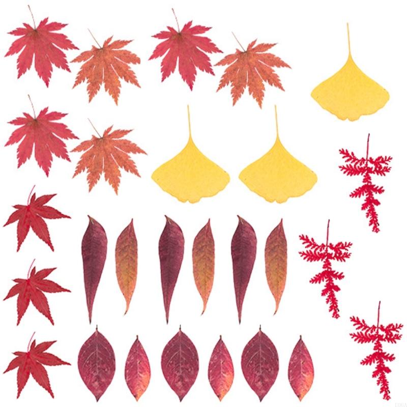 수지 금형 스크랩북 쥬얼리 비누 캔들 만들기용 말린 압 - Art Craft Leaves 리뷰 및 가격